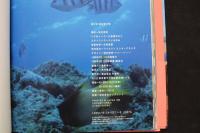 ６　2  夏少女　桂木亜沙美