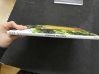 ６　2  勝村美香写真集　RELAX