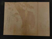 ６　2  引札　引き札　味噌溜醸造　多良　佐古商店　石版色刷