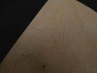 ６　2  引札　引き札　正藍染物業　西伯郡春日村大字水濱　舩本乙次郎本店　今郡幡郷村大字大殿　舩本乙次郎支店　石版色刷