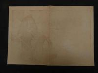 ２　2  引札　引き札　乾物　石油　塩魚　履物　砂糖　日用品商　細見　井澤商店　石版色刷