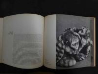 ６　2  FABLES IN IVORY　Japanese Netsuke and Their Legende　by　Adrienne　Barbanson　英文