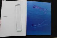 7　写真集　HARUMI INOUE LIVE