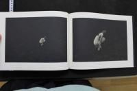 7　藤井保写真集　ESUMI