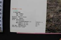 7　中川絵里写真集　雪化粧