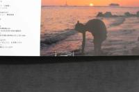 7　川島和津美写真集　あづみⅡ