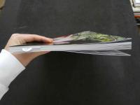 ８　新藤まなみ写真集　QUEENS　