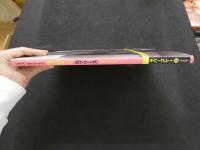 ８　相沢智沙写真集　Caprice　カプリース