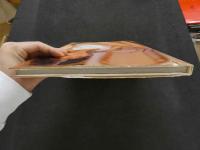 ８　森永奈緒美写真集　WFACE　ダブルフェイス