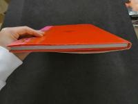 ８　PENTHOUSE　PETS OF THE YEAR　COLLECTION