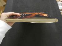 ８　いづな忍写真集　魔性＜ファッシネーション＞