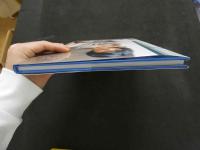 ８　もなみ鈴写真集　ちっぱい革命