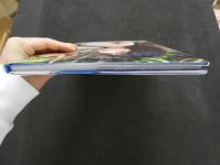 ８　根尾あかり写真集　NEOWorld