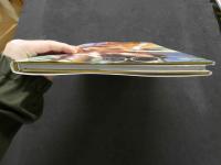 ８　COCOLO　くびれ姫