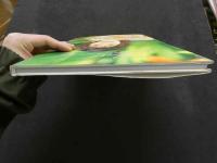 ８　神乃麻美写真集　PEARL