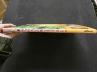 ８　神乃麻美写真集　PEARL