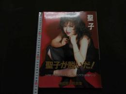 ８　神田聖子写真集　聖子