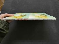 ８　小出広美写真集　REMEMBER