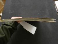 ８　大信田礼子写真集