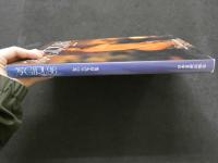 ８　写GIRL’９６　女の大写真集