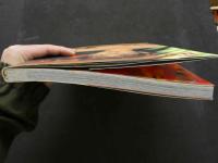 ８　小野由美写真集　HINANO