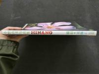 ８　小野由美写真集　HINANO