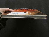 ８　エクセルシオール・ヌードスペシャル１