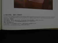 ８　南理香写真集　危険イ妹