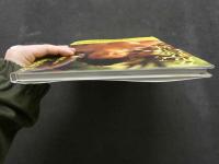 ８　南理香写真集　危険イ妹