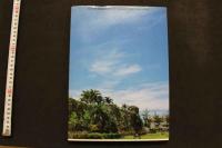 7　セブ物語　高橋生建写真集