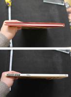 7　本田なな子写真集　エフ