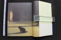 7　辺見マリ写真集　INFINITO