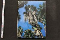 7　白都マリ写真集　CAFTE SANTOS