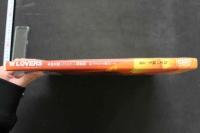 4　W.LOVERS　本格官能レズビアン寫眞集　秋元実花＆藤田リナ　撮影/上野いさむ