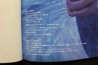 4　南雅子写真集　会いたかった。-今日より前に-　撮影/伊藤隼也