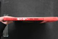 4　月刊ザ・テンメイ総集編　きクぜ！　撮影/加納典明