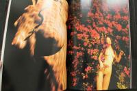 7　中村れい子写真集　a strya beauty