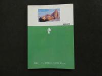 ８　マドンナメイト写真集　深野晴美