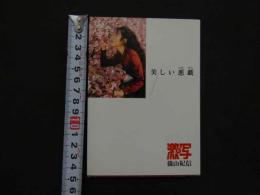 ８　美しい悪戯　新・激写文庫