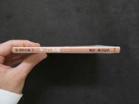 ８　美しい悪戯　新・激写文庫