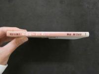 ８　名取裕子　明日嵐がくる　激写文庫