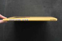 5　桂田裕子写真集　初体験　撮影/奥舜　1987年初版