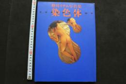 7　野川イサム写真集　染色体