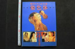 野川イサム写真集　染色体　②