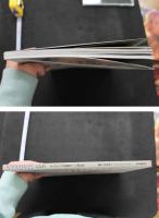 7　NYMPHS　ニンフ　8人のトップ写真家ヌード写真集