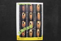 4　盗撮倶楽部　日常のちょっとしたパンチラから激しいまでの隣人ファックまで覗きとカメラをこよなく愛する盗撮専科！！