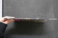 4　盗撮フォト　妖しくうごめく男と女の痴態覗き撮りドキュメント写真集