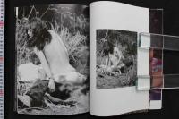 4　THE PEEPING WORK 新・のぞき大鑑　全未発表密録初公開