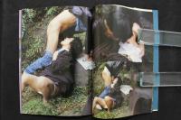 4　猥褻事件　強姦　