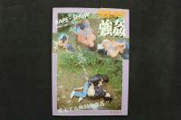 4　猥褻事件　強姦　